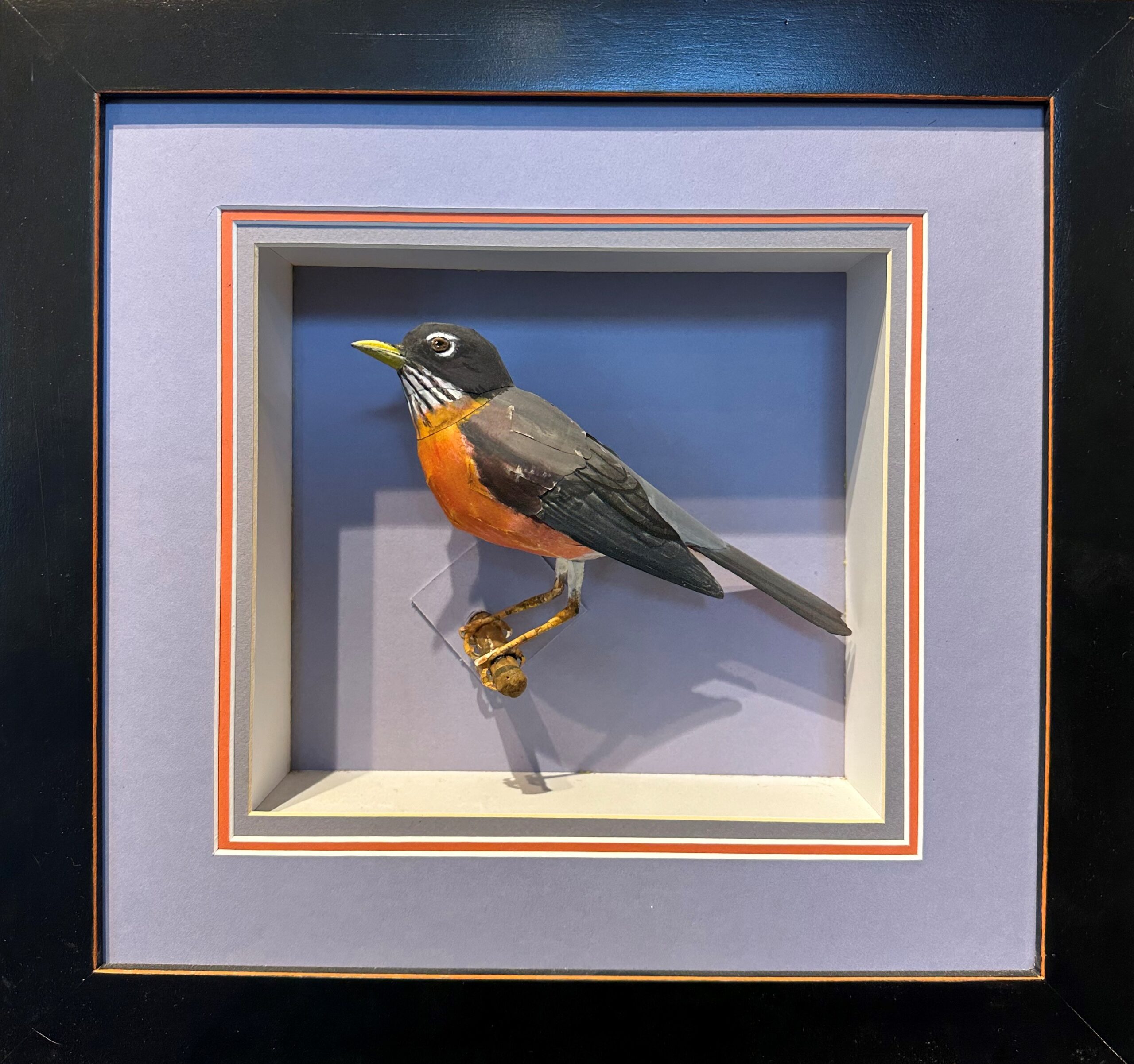 American Robin ~ Tom Melhuse ~ Painted Paper