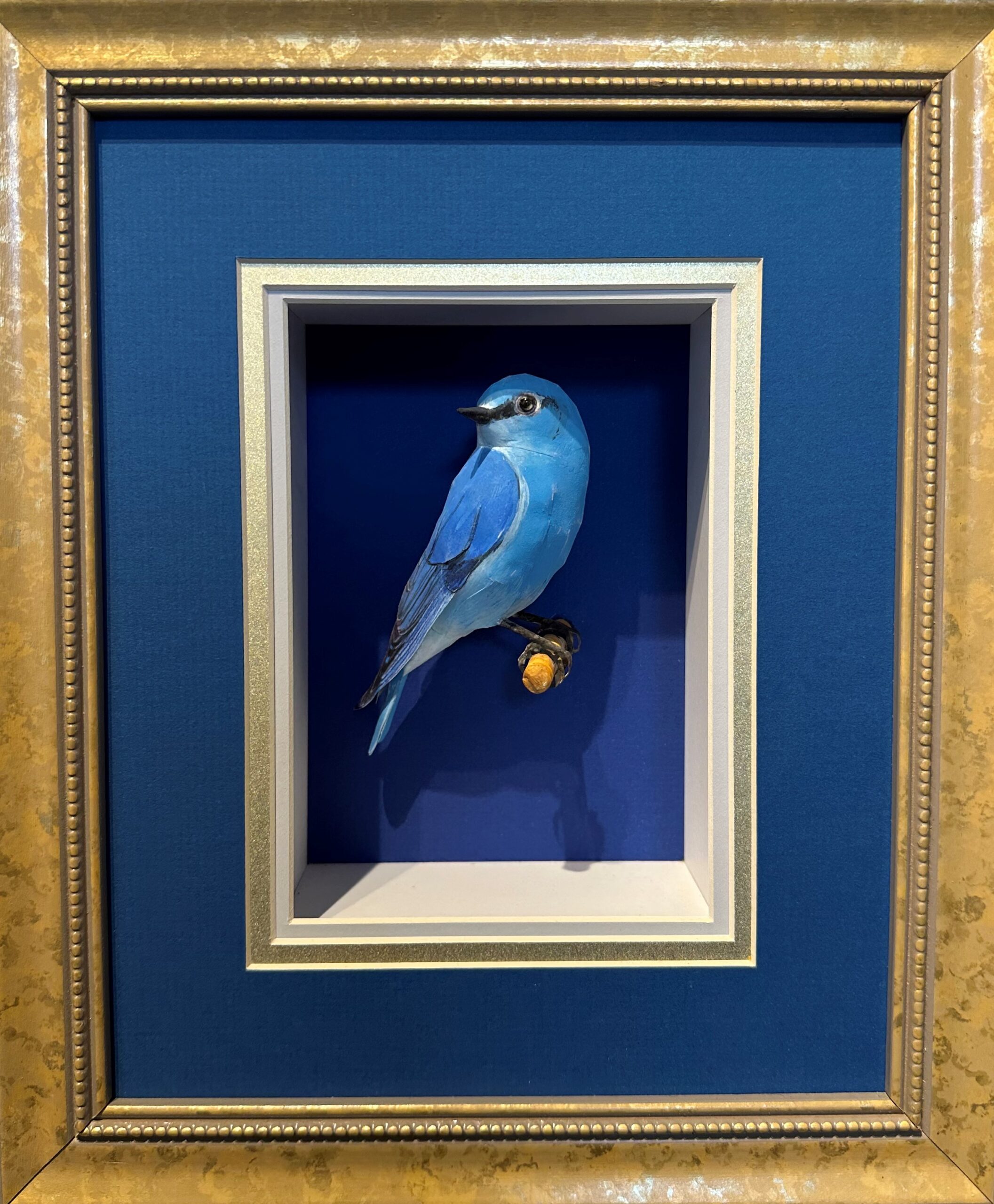 Mountain Bluebird ~ Tom Melhuse ~ Painted Paper