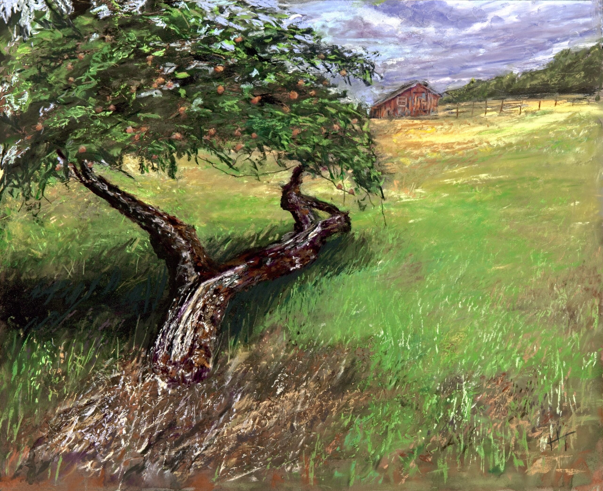 Harley Talkington - Crabapple Crouching - 16 x 20