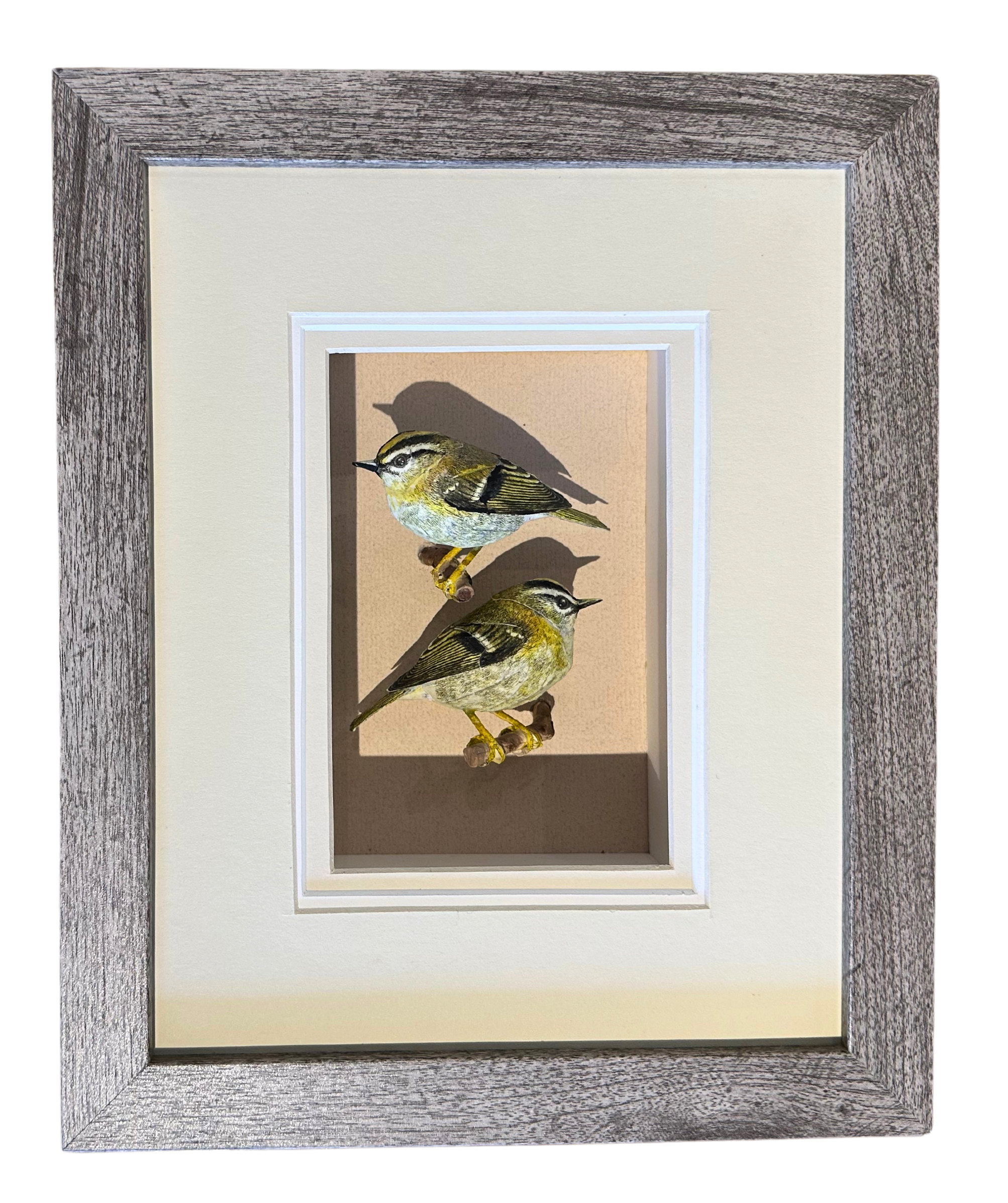 Tom Melhuse - Painted Paper Bird Shadow Box