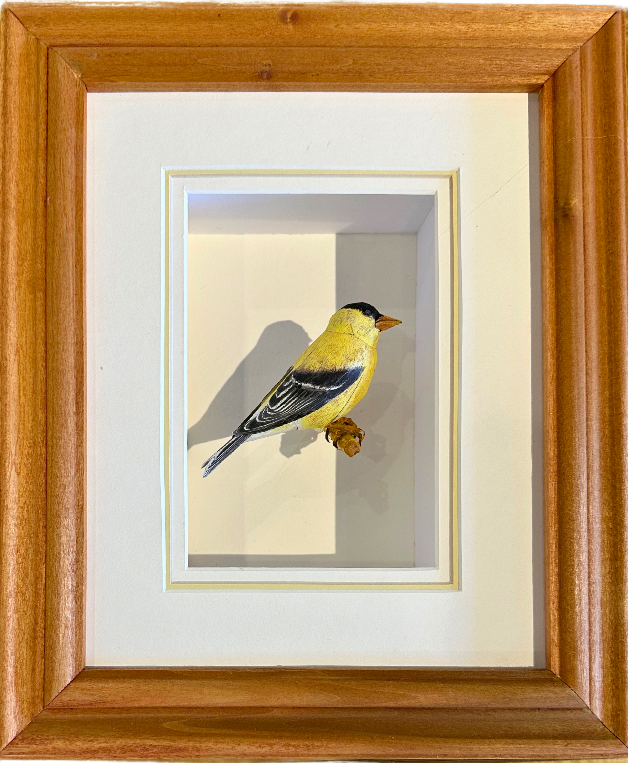 Tom Melhuse - Painted Paper Bird Shadow Box