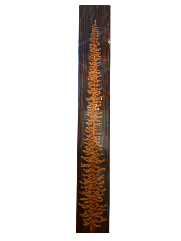 FireSmith Copper - Sub Alpine Fir Portrait - 8 x 56 x 2 - #145