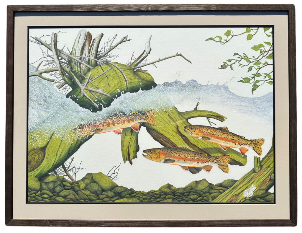 Ken Dust - Buckhorn Creek Brookies - 35.5 x 46 - #145