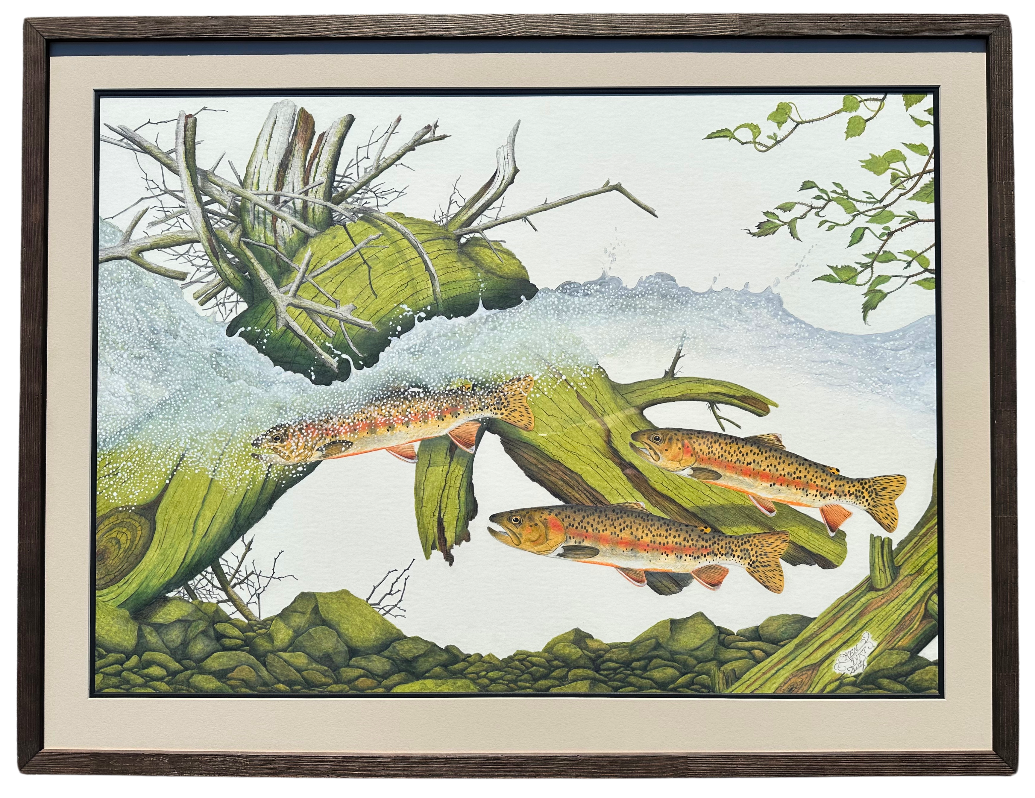 Ken Dust - Buckhorn Creek Brookies - 35.5 x 46 - #145