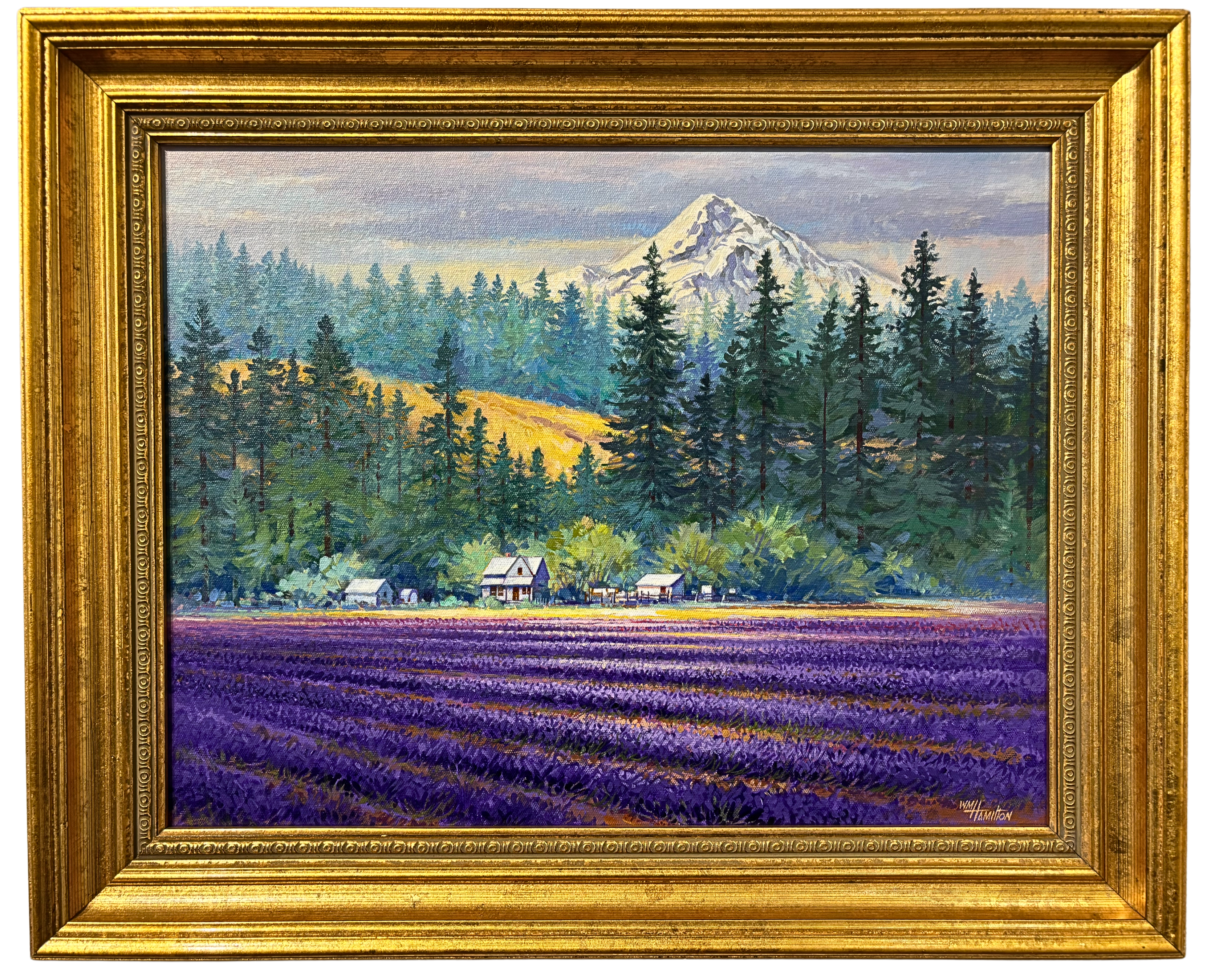 Bill Hamilton - Mt. Hood Lavender -14 x 18 - #111