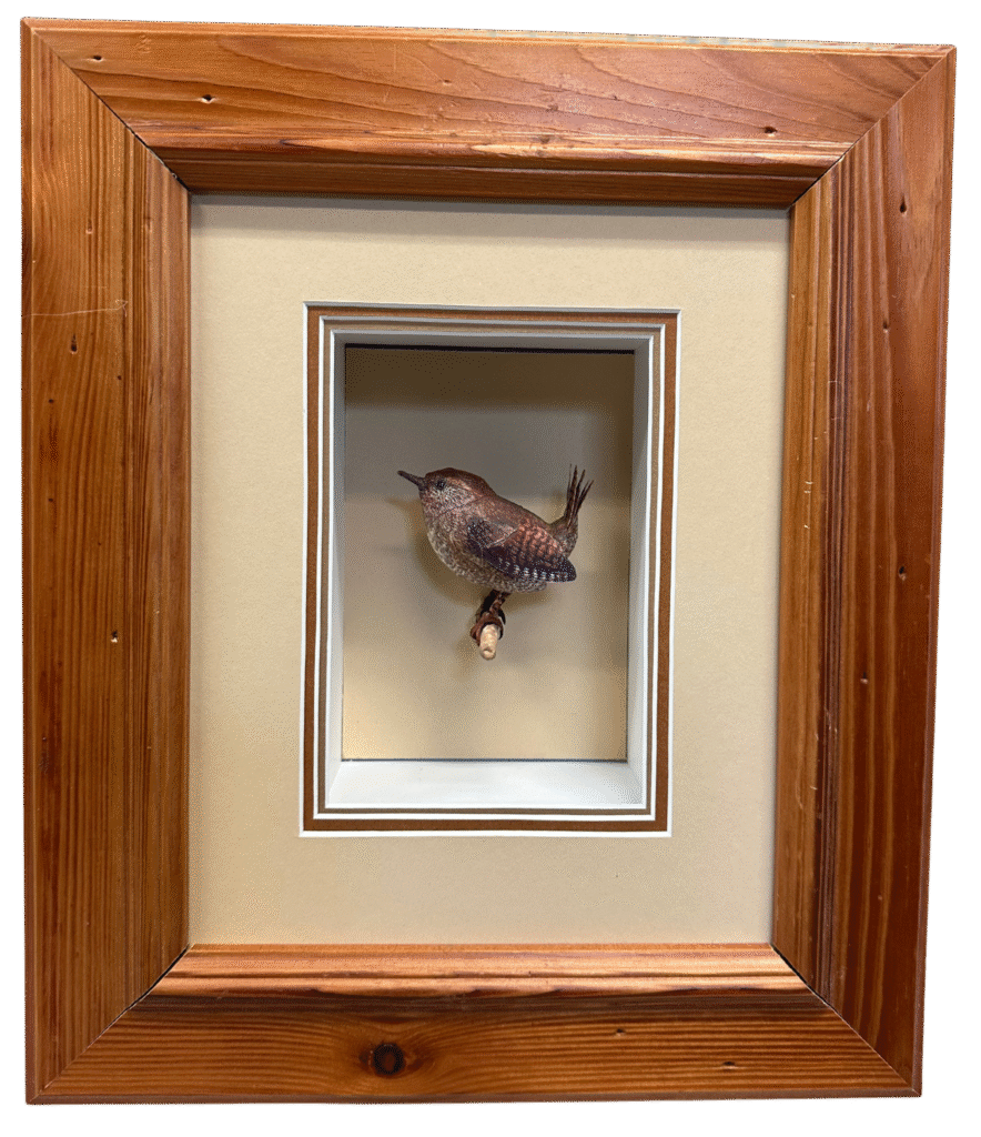 Tom Melhuse - Pacific Wren - Painted Paper - #153