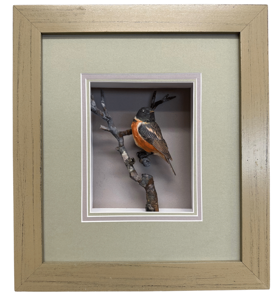Tom Melhuse - Stonechat - Painted Paper - #154