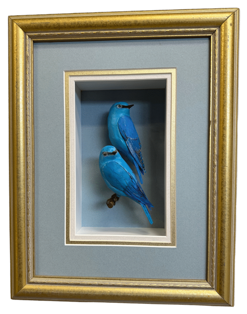 Tom Melhuse - Double Mountain Bluebird - Painted Paper - #157