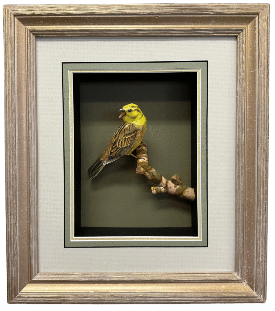 Tom Melhuse - Yellow Hammer - Painted Paper - #159